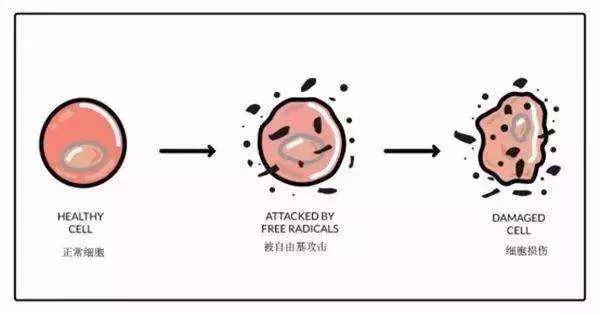 利来国际旗舰厅(中国区)_w66利来官网