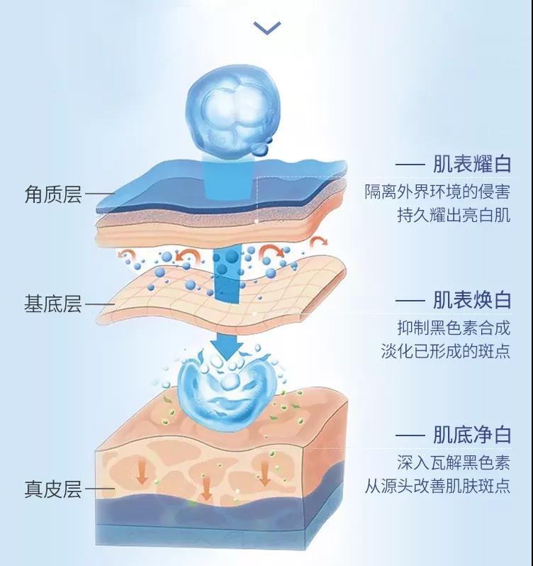 利来国际旗舰厅(中国区)_w66利来官网